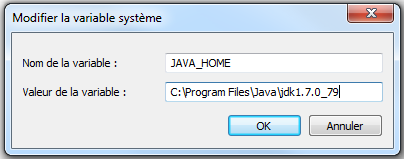 Setting the environment variable JAVA_HOME