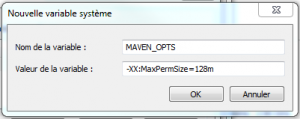 Adding MAVEN_OPTS environment variable