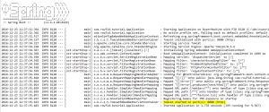 Spring Boot starting logs